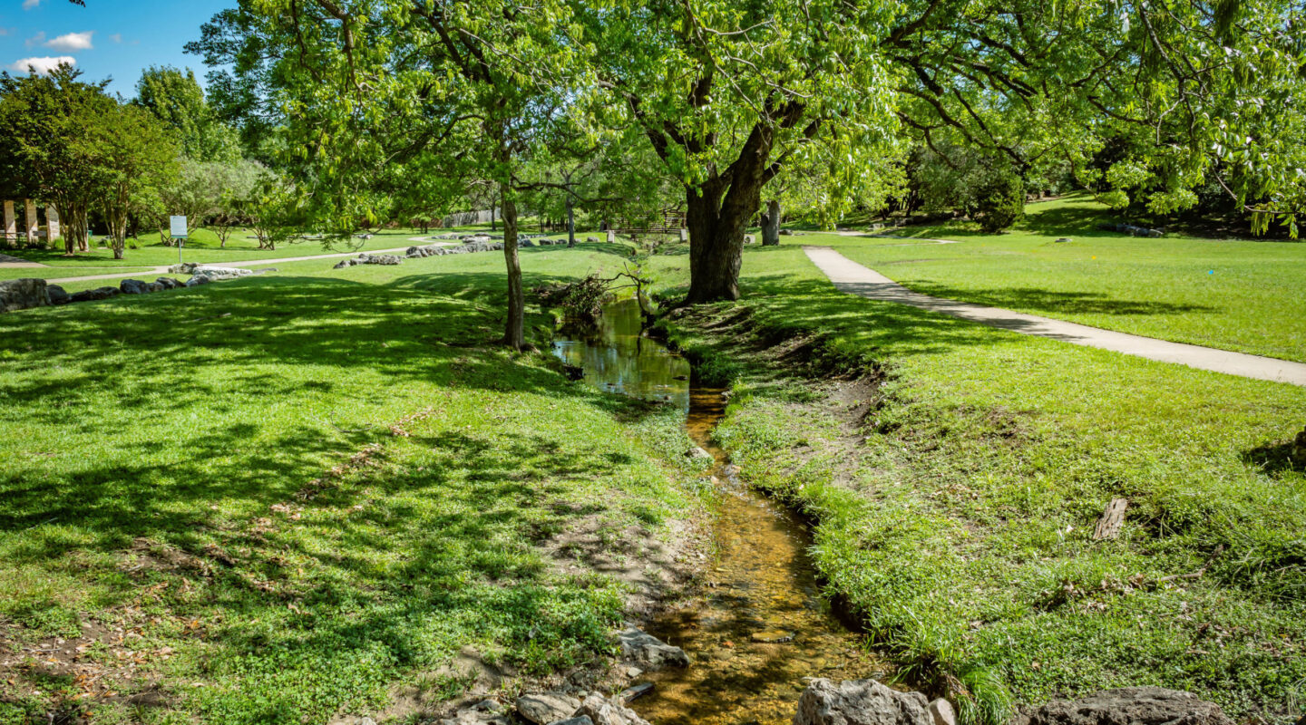 ResidentAmenities23 Picture of small creek and large tree.